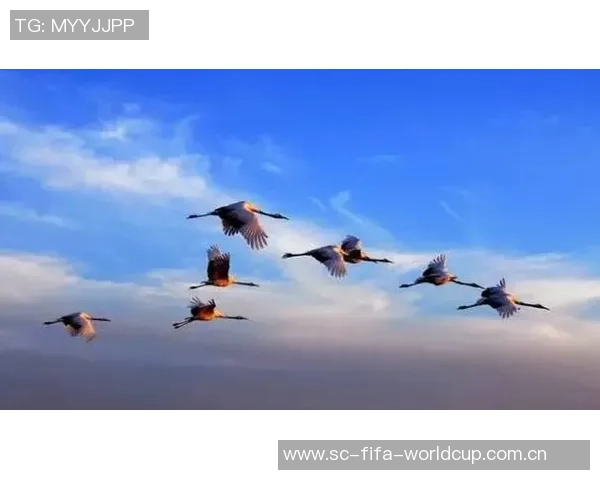 退役足球明星的艰难人生与困境探讨:辉煌背后的孤独与挑战 退役足球明星的艰难人生与困境探讨:辉煌背后的孤独与挑战