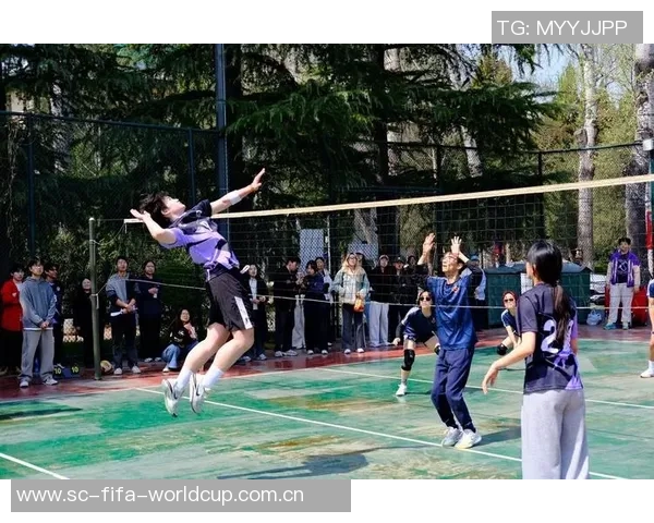 重庆排球队联赛表现分析:团队配合与战术执行的完美结合 重庆排球队联赛表现分析:团队配合与战术执行的完美结合